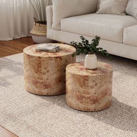 Nesting Coffee Table Set of 2, Modern Round Coffee Table