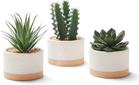 Artificial Succulent Plants in Ceramic Pots, Faux Assorted Succulents Fake Cactus Plants for Home Decor, Bedroom, Office, Desk, Living Room, Set